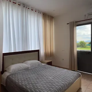 Internacional , Grilë Albanien